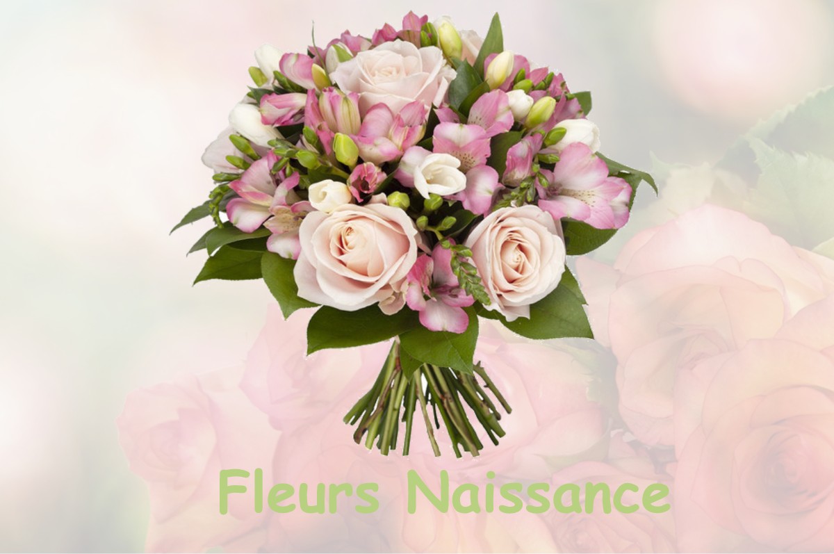 fleurs naissance MONTAIGUT-SUR-SAVE