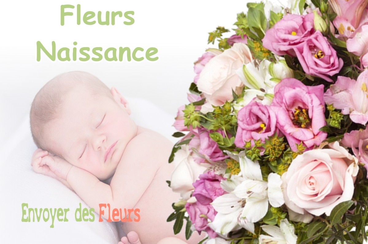 lIVRAISON FLEURS NAISSANCE à MONTAIGUT-SUR-SAVE